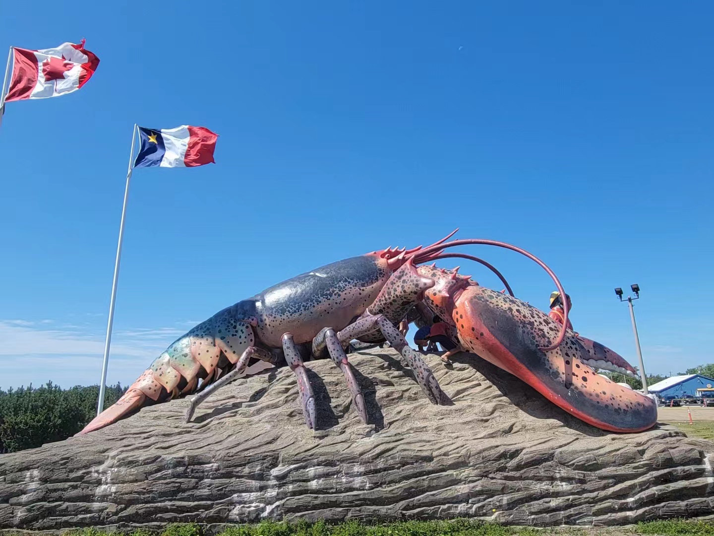 雷速官网-不伦瑞克遭遇主场失利，需迅速调整