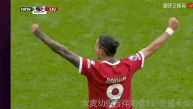 雷速官网-进球幕后功臣透露底蕴凯旋美国金童